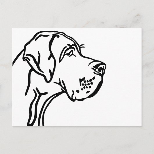 Great dane kop tekening briefkaart (Voorkant)