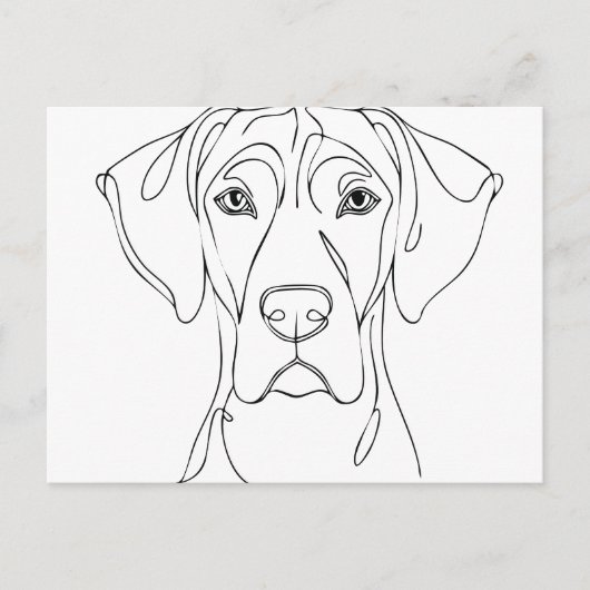 Great Dane kop tekening II Briefkaart (Voorkant)