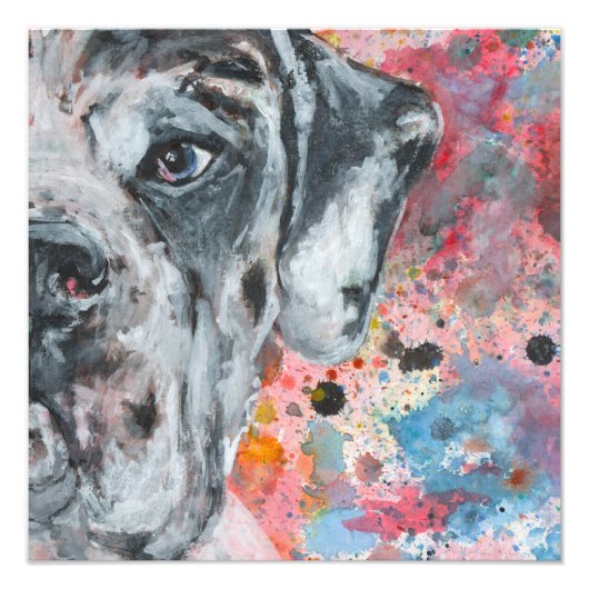 Great Dane kunst Foto Afdruk (Voorkant)