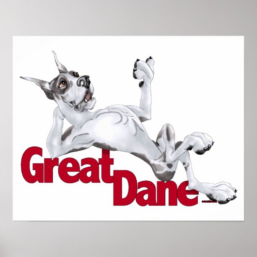 Great Dane Laid Back Harlequin Poster (Voorkant)