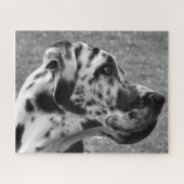 GREAT DANE LEGPUZZEL (Horizontaal)
