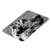 GREAT DANE MAGNEET (Linkerzijde)