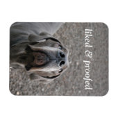 Great Dane-magneet Magneet (Horizontaal)