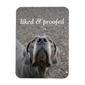 Great Dane-magneet Magneet (Verticaal)