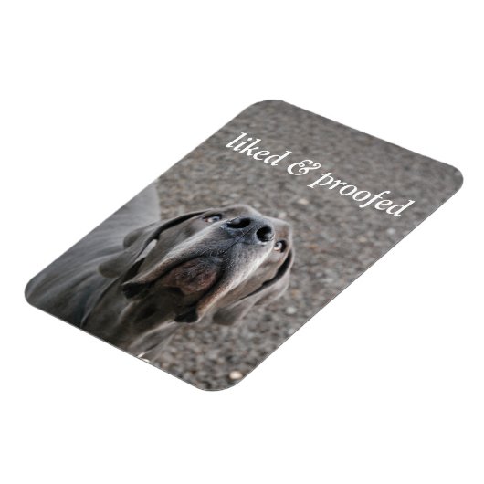 Great Dane-magneet Magneet (Linkerzijde)