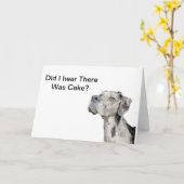 Great Dane Merle - Funny Birthday Kaart (Gele Bloem)