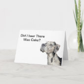 Great Dane Merle - Funny Birthday Kaart (Voorkant)