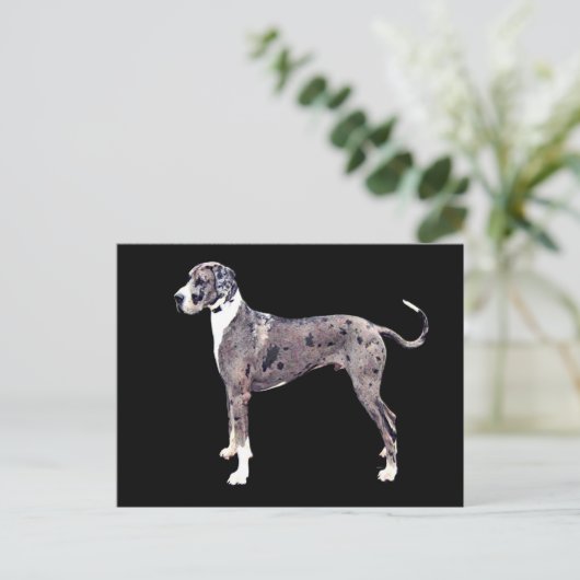 Great Dane Merle 'Heffner' Briefkaart (Staand voorkant)