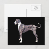 Great Dane Merle 'Heffner' Briefkaart (Voorkant / Achterkant)