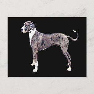 Great Dane Merle 'Heffner' Briefkaart