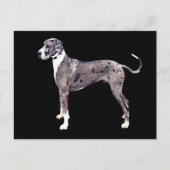 Great Dane Merle 'Heffner' Briefkaart (Voorkant)