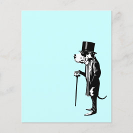 Great Dane Mister Alf