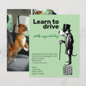 Great Dane Mister Alf driver flyer  (Voorkant / Achterkant)