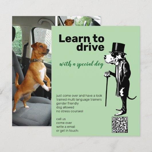 Great Dane Mister Alf driver flyer (Voorkant / Achterkant)