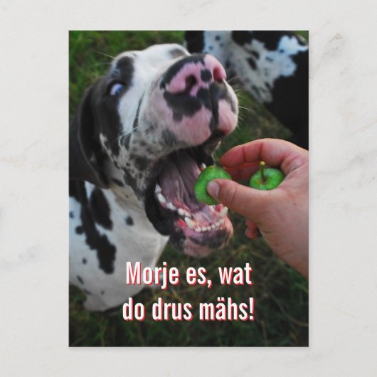 Great Dane Motto Motivatie Briefkaart (Voorkant)