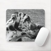 GREAT DANE MUISMAT (Met muis)