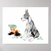 Great Dane Naughty Pup MerleB Poster (Voorkant)