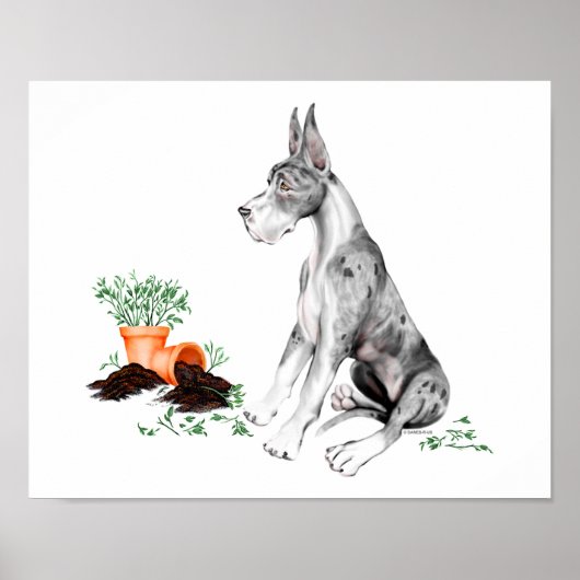 Great Dane Naughty Pup MerleB Poster (Voorkant)