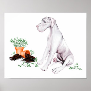 Great Dane Naughty Pup White UC Poster