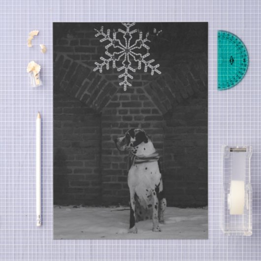 Great Dane Nestor Tissuepapier (Craft)