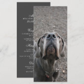 Great Dane Neus Menu Kaarten (Voorkant / Achterkant)
