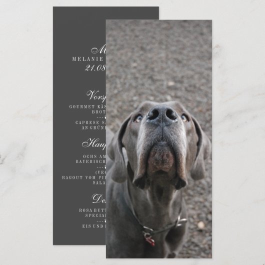 Great Dane Neus Menu Kaarten (Voorkant / Achterkant)