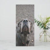 Great Dane Neus Menu Kaarten (Staand voorkant)
