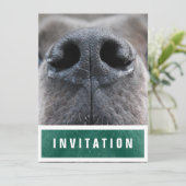 Great Dane Neus omhoog Kaart (Staand voorkant)