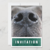 Great Dane Neus omhoog Kaart (Voorkant)