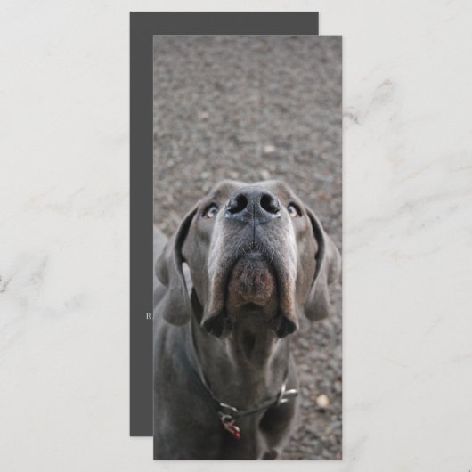 Great Dane Nose Menue Kaarten (Voorkant / Achterkant)