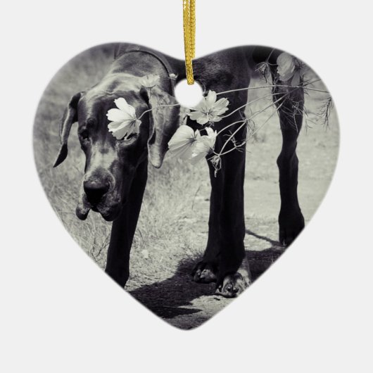 Great Dane Ornaments Photo Gift Keramisch Ornament (Voorkant)