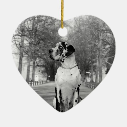 Great Dane Ornaments Photo Gift Keramisch Ornament (Achterkant)