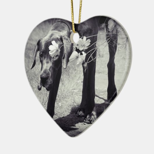 Great Dane Ornaments Photo Gift Keramisch Ornament (Links)
