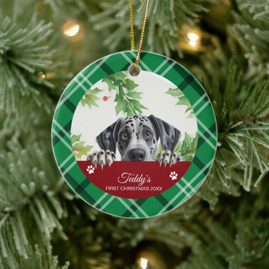 Great Dane Persoonlijke Eerste Kerstmis Keramisch Ornament (Boom)