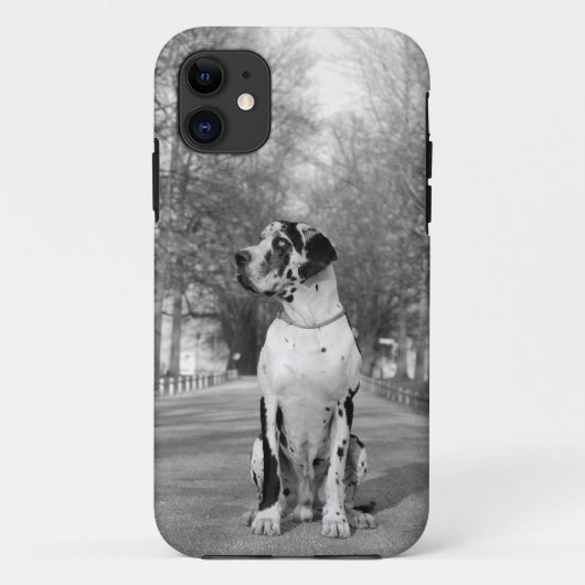 Great Dane Persoonlijke Fotografie Case (Achterkant)