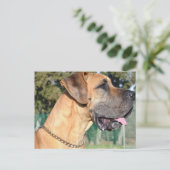 Great Dane Photo Briefkaart (Staand voorkant)