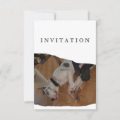 Great Dane Photo invitation  Kaart (Voorkant)