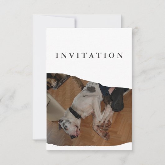Great Dane Photo invitation  Kaart (Voorkant)