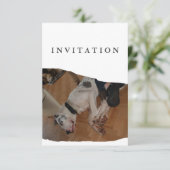 Great Dane Photo invitation  Kaart (Staand voorkant)