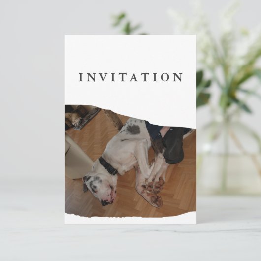 Great Dane Photo invitation  Kaart (Staand voorkant)
