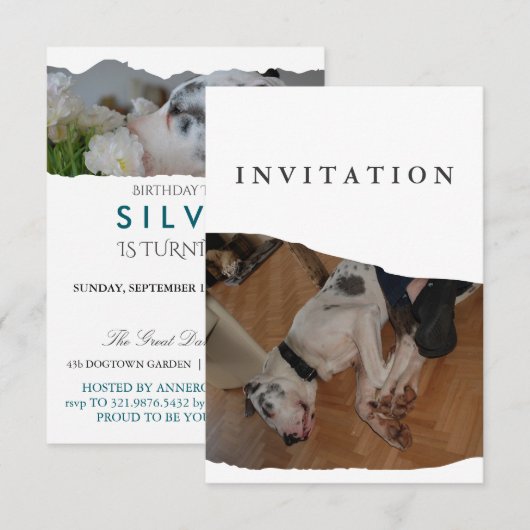 Great Dane Photo invitation  Kaart (Voorkant / Achterkant)
