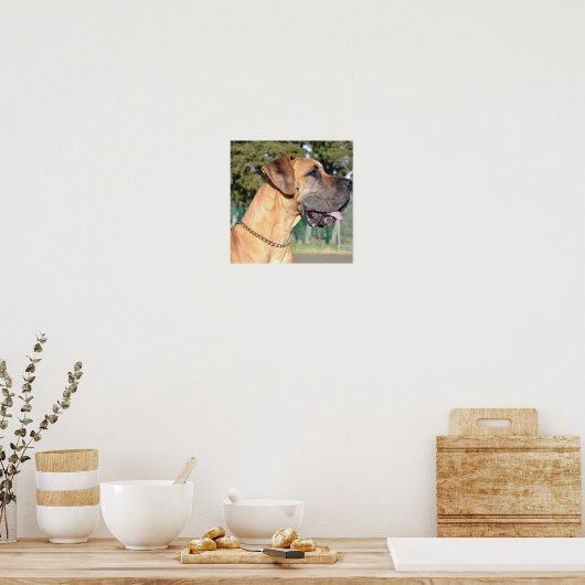 Great Dane Photo Poster (Keuken)