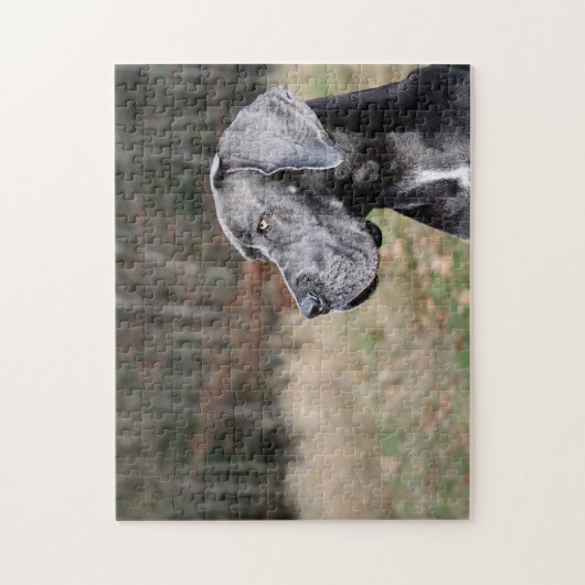 Great Dane Portret Legpuzzel (Verticaal)