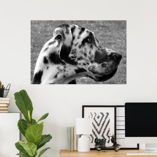 GREAT DANE POSTER (Thuiskantoor)