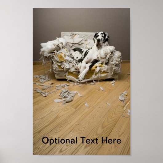 Great Dane Poster (Voorkant)