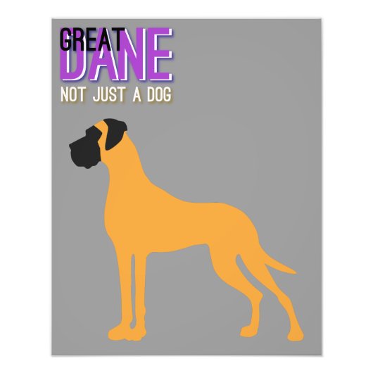Great Dane Poster (Voorkant)