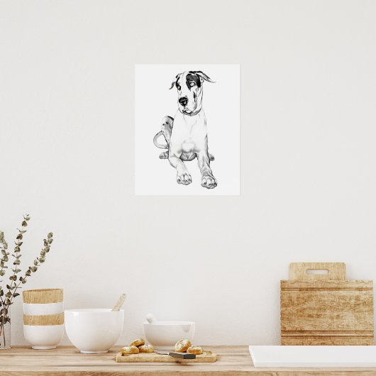 Great Dane Pouting Harlequin Poster (Keuken)