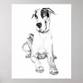 Great Dane Pouting Harlequin Poster (Voorkant)