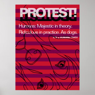 Great Dane protesteert dat mensen belachelijk zijn Poster