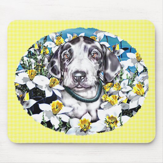 Great Dane Pup in Daffodils Harlequin Muismat (Voorkant)
